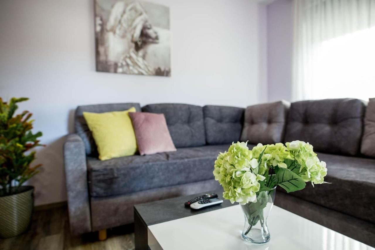 Apartments Dora Sveti Martin Na Muri Extérieur photo