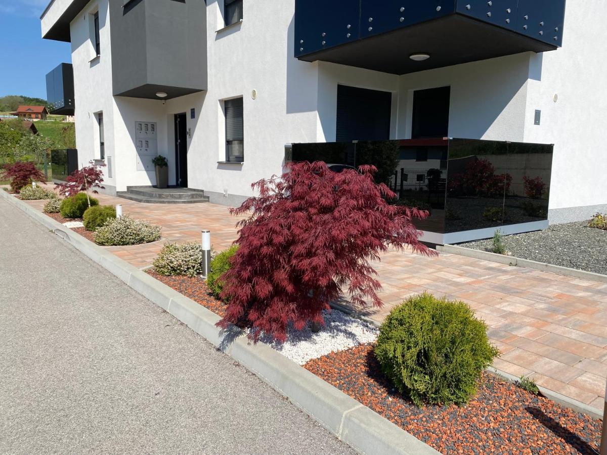 Apartments Dora Sveti Martin Na Muri Extérieur photo