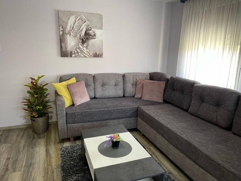 Apartments Dora Sveti Martin Na Muri Extérieur photo